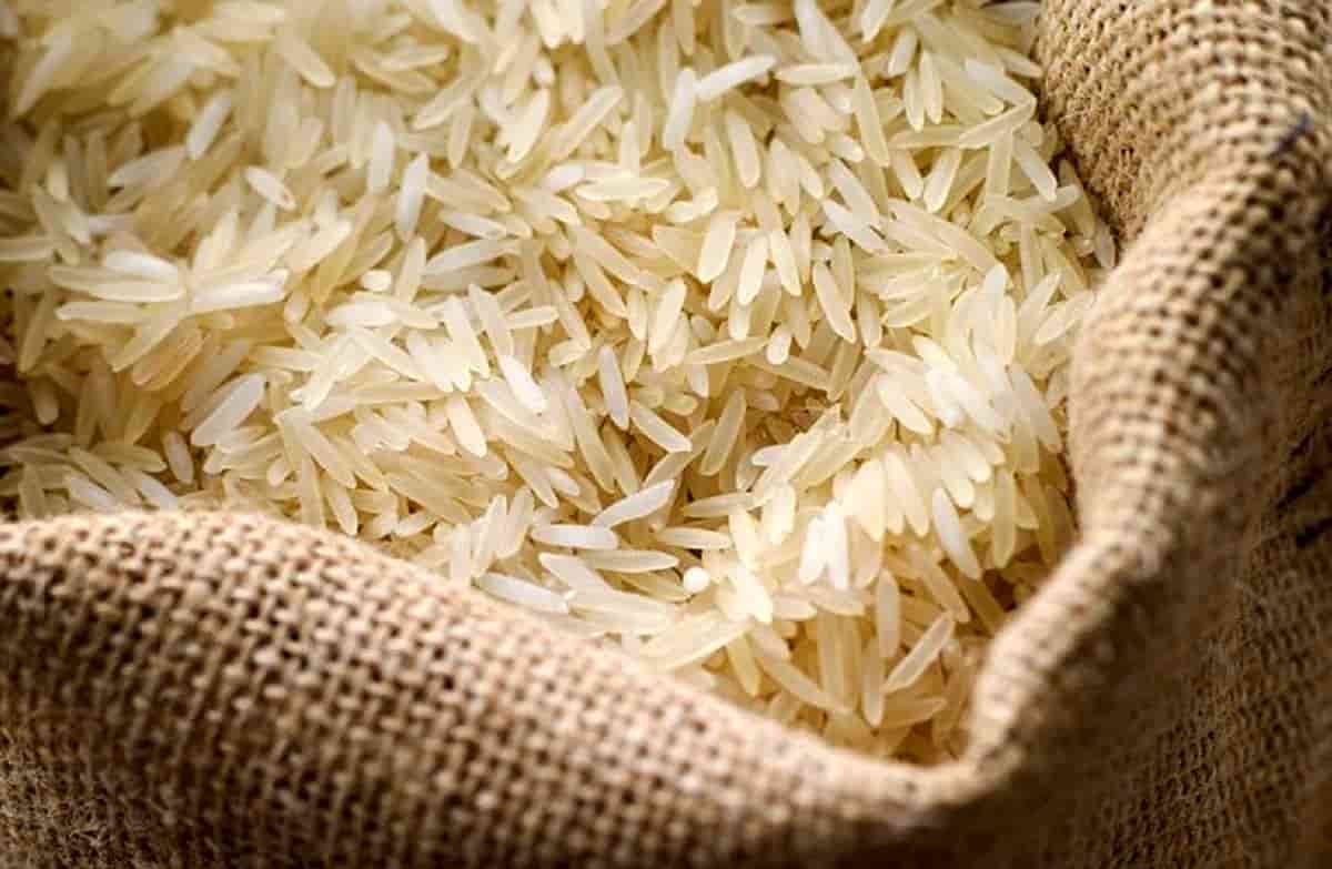 تصویر 4 از قیمت خرید برنج پاکستانی ۳۸۶ کشتی نشان سیلا